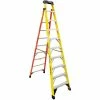 Werner 10' Fiberglass Leansafe Ladder w/ Plastic Tool Tray, 375 lb. Capacity - L7310